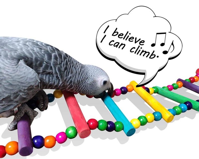 DS.DISTINCTIVE STYLE DS. DISTINCTIVE STYLE Bird Ladder Toys Coloured Flexible Parrot Swing Bridge Wooden Cockatiel Cage Hanging Climbing Ladder - Image 4